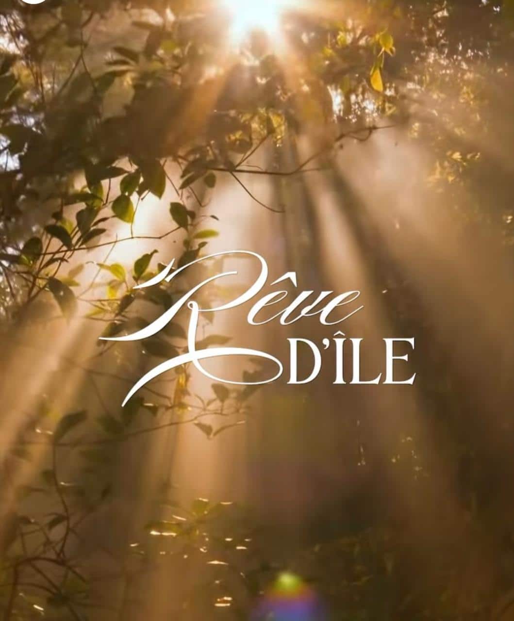 اسعار مشروع ريف ديل Reve Dile