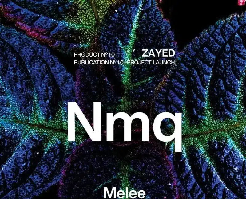 كمبوند نمق الشيخ زايد Nmq Compound