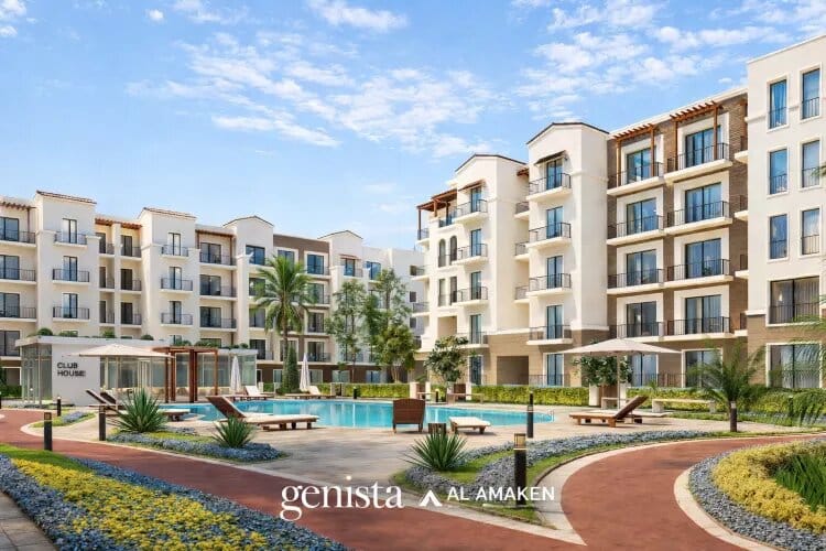 Genista New Zayed