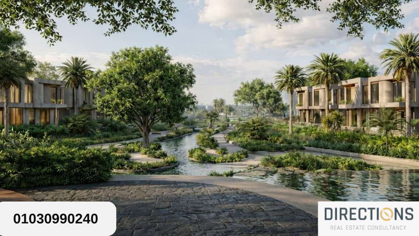 The Hillage ElSheikh Zayed